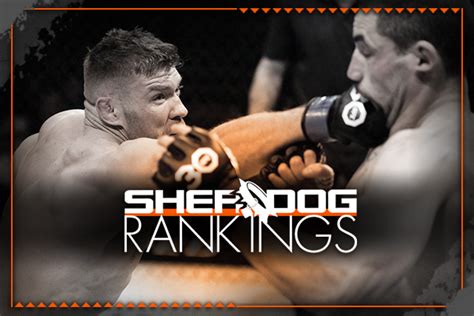 mma sherdog